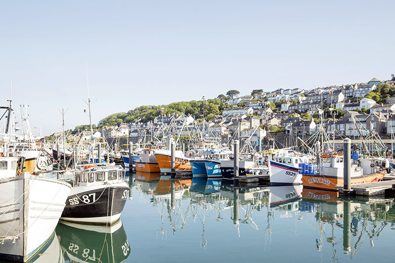 Newlyn fishing boats